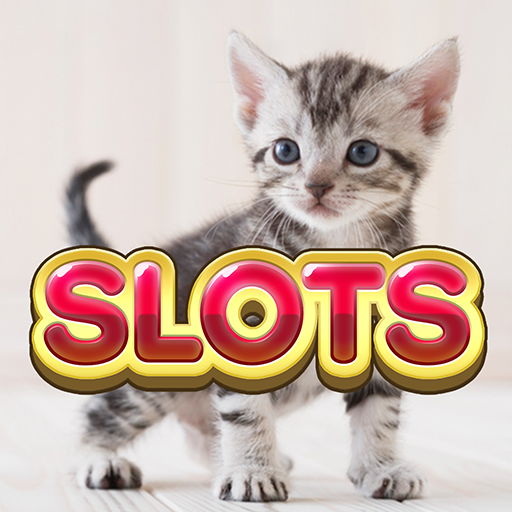 Slots - Cats Lovers