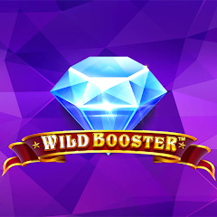 Wild Booster Slot Casino Game