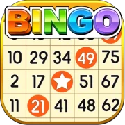 Bingo Adventure