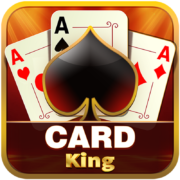 Play Adda: Callbreak Hazari 29
