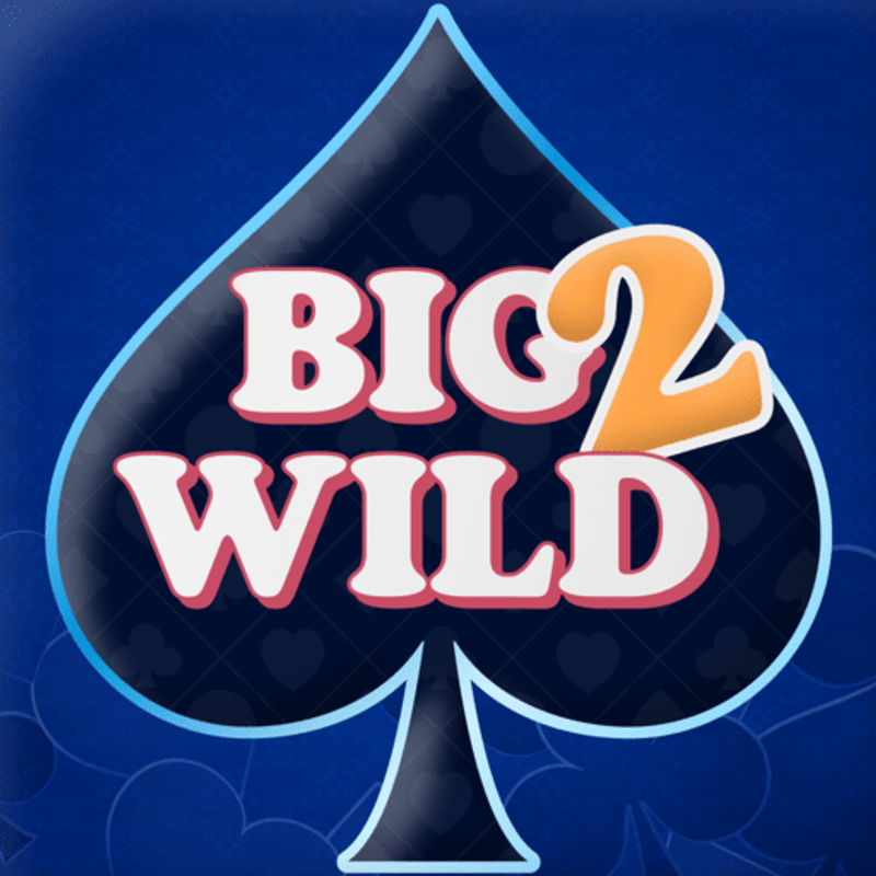 Big 2 Wild