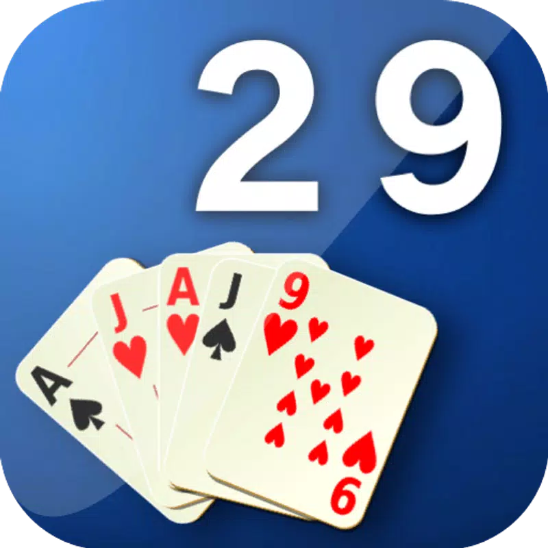 29 Card Game