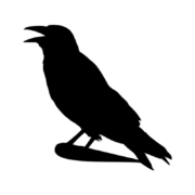 CrowsNest